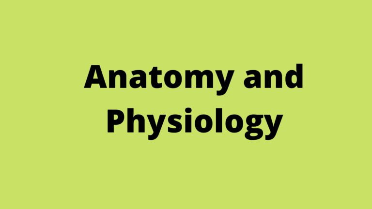 Anatomy and Physiology for Massage Therapists – Massage School Notes