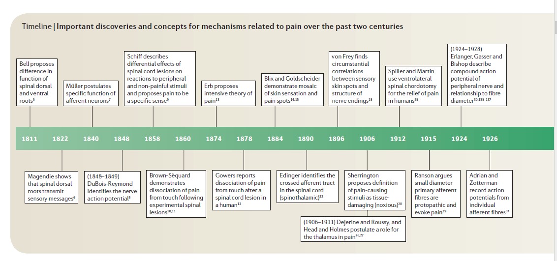 timeline of pain theories from Edward Perl, Ideas about Pain